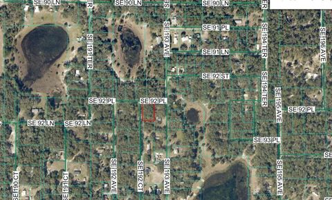 00 SE 92ND PLACE OCKLAWAHA FL 32179