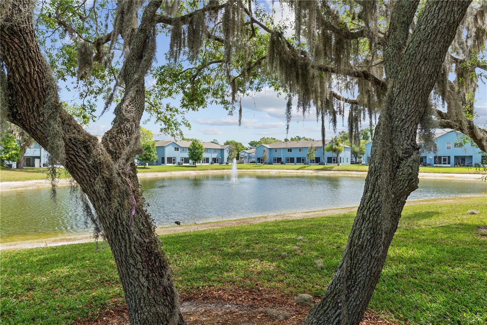 PLACID LAKE TOWNHOMES - Residential