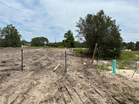 311 BOWFIN COURT KISSIMMEE FL 34759
