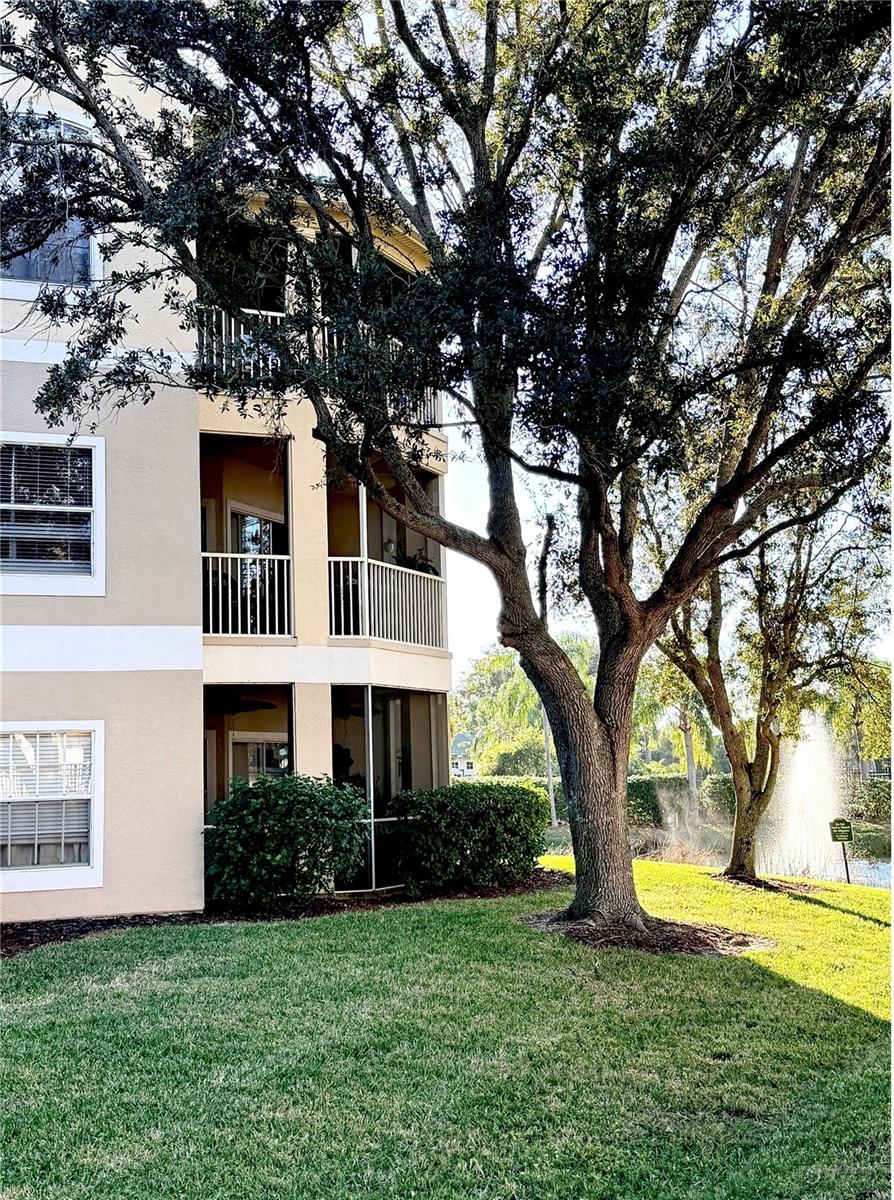 SERENADE ON PALMER RANCH - Residential