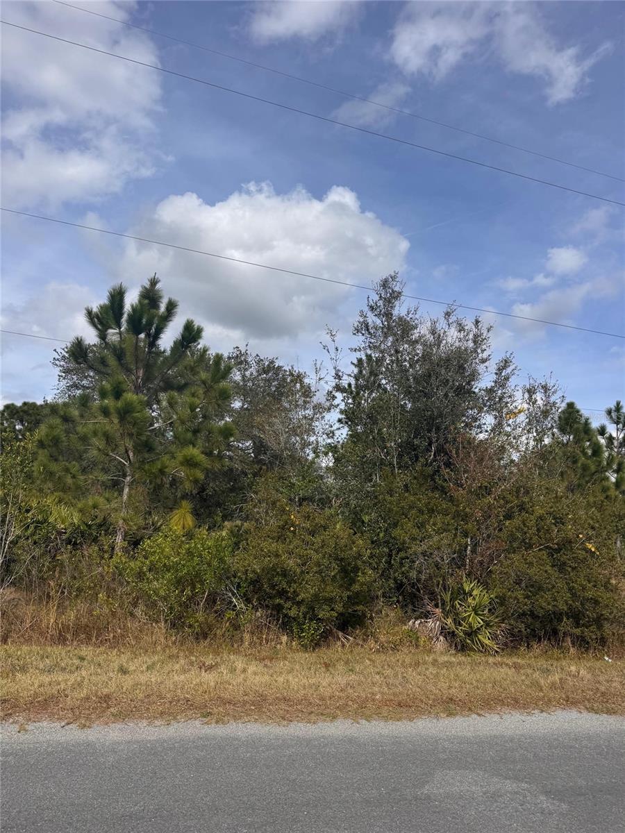 CAPE ORLANDO ESTATES - Land