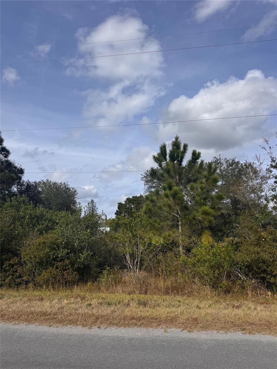 CAPE ORLANDO ESTATES - Land