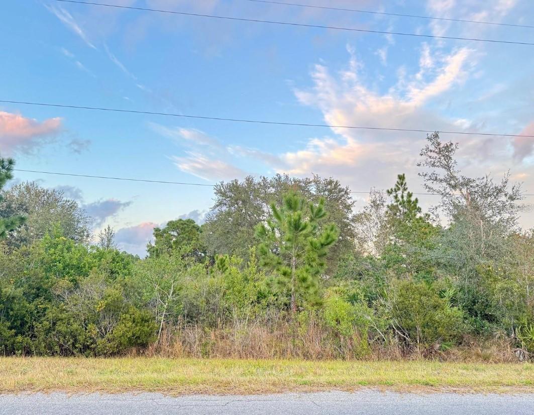 CAPE ORLANDO ESTATES - Land