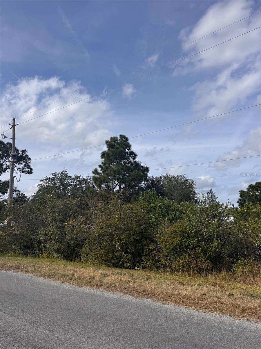 CAPE ORLANDO ESTATES - Land