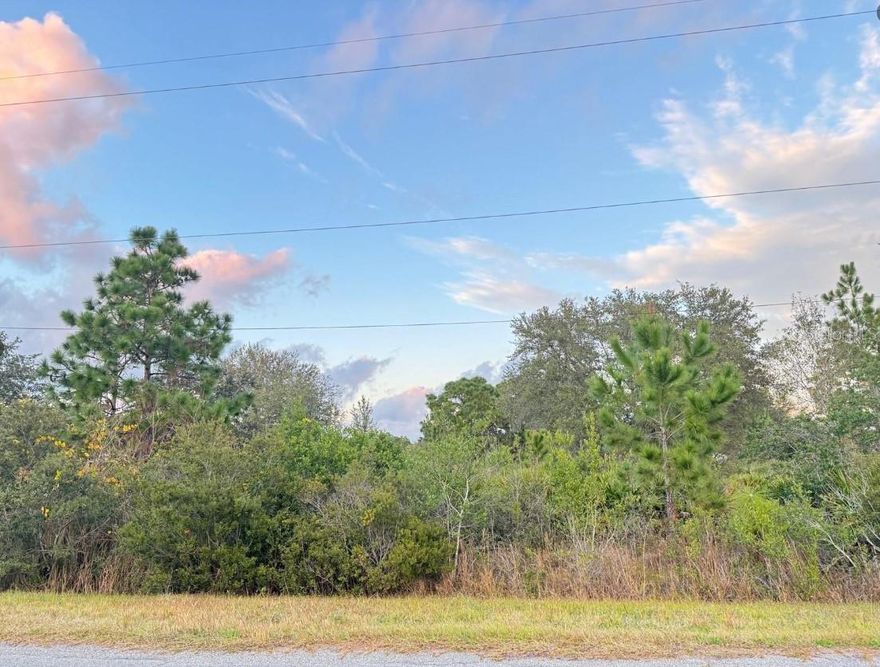 Gorgeous 1.03 acre lot on the Beautiful Robertson Street in the Heart of Wedgefield. Wedgefield is Golf and Equestrian Community like No Other! A true Hidden Gem in East Orlando also known as Cape Orlando Estates offering 18-Hole Golf Course with Clubhouse home to a local Restaurant and Bar. Large Playground in the Community Park, Multiple Ball Courts, Including Pickleball! Outdoor Exercise Equipment, Dog Park! NO HOA!!  This incredible location is just moments from Hal Scott Regional Preserve and Park a 9,515-acre nature preserve. Hal Scott Preserves boasts miles of unspoiled sanctuary trails for hiking along the scenic shoreline of the Econlockhatchee River, with plenty of wildlife to view!! Trails are available for hiking, horseback riding and bicycling, and fishing is permitted. In Wedgefield the Proximity to 528 Allows for seamless commute to Lake Nona, Medical City or Downtown Orlando via 417, 408 or I-4. The Shores of Port Canaveral and the Beaches are just minutes away. If you are looking to create your Dream Home near World-Class Amenities or seeking a smart investment opportunity check this lot out today! Wetlands report & CAD is complete so Start Building Right Away!!