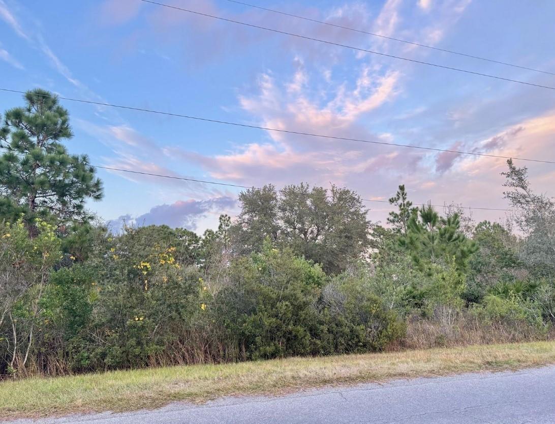 CAPE ORLANDO ESTATES - Land