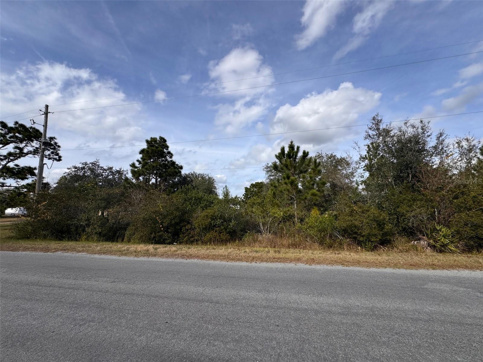 CAPE ORLANDO ESTATES - Land