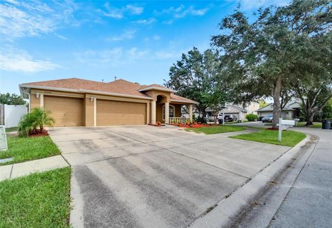 A home in RIVERVIEW