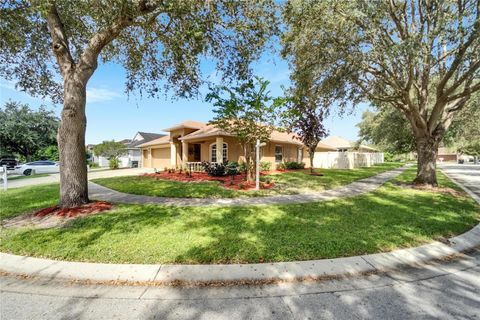 A home in RIVERVIEW