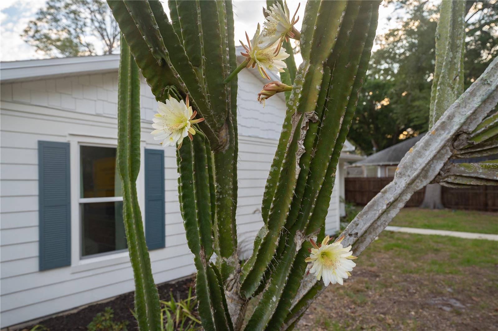 JOSLYN PARK - Residential