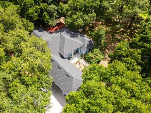 A home in MONTVERDE