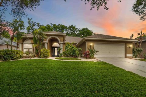 2007 RAVEN MANOR DRIVE DOVER FL 33527