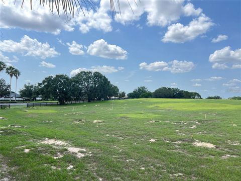 Tiny photo for 2913 Panchos Way, The Villages, FL 32162 (MLS # OM727525)