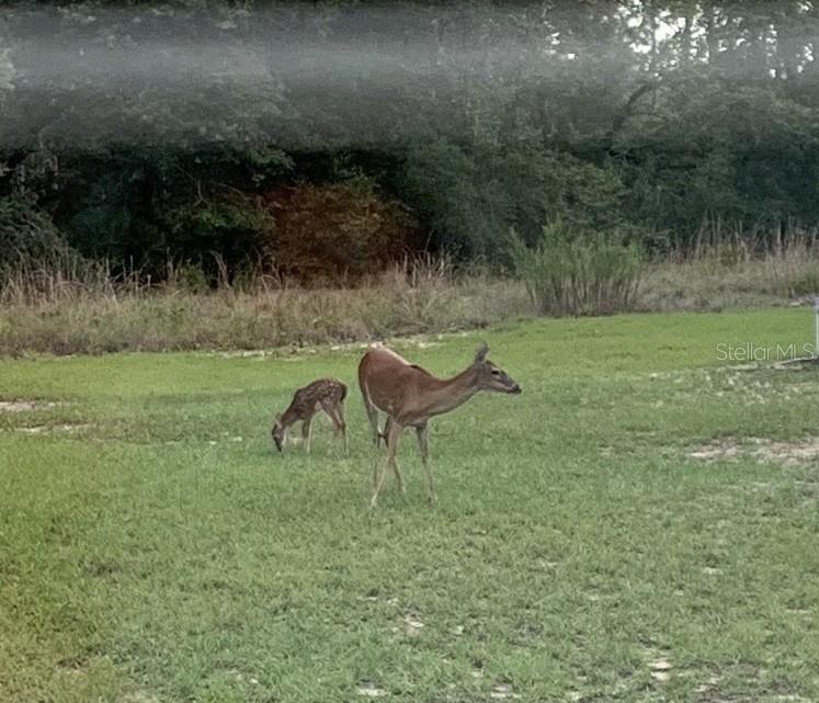 CORONADO - Residential