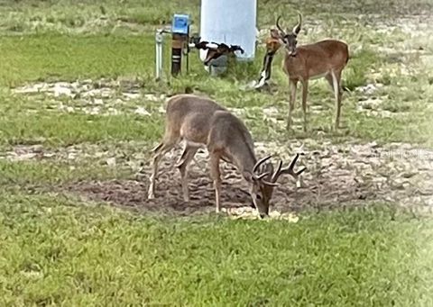 Tiny photo for 14020 SE 106th Street, Ocklawaha, FL 32179 (MLS # G5109590)