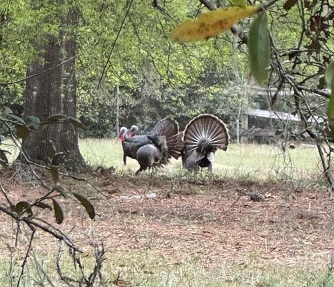 Tiny photo for 14020 SE 106th Street, Ocklawaha, FL 32179 (MLS # G5109590)