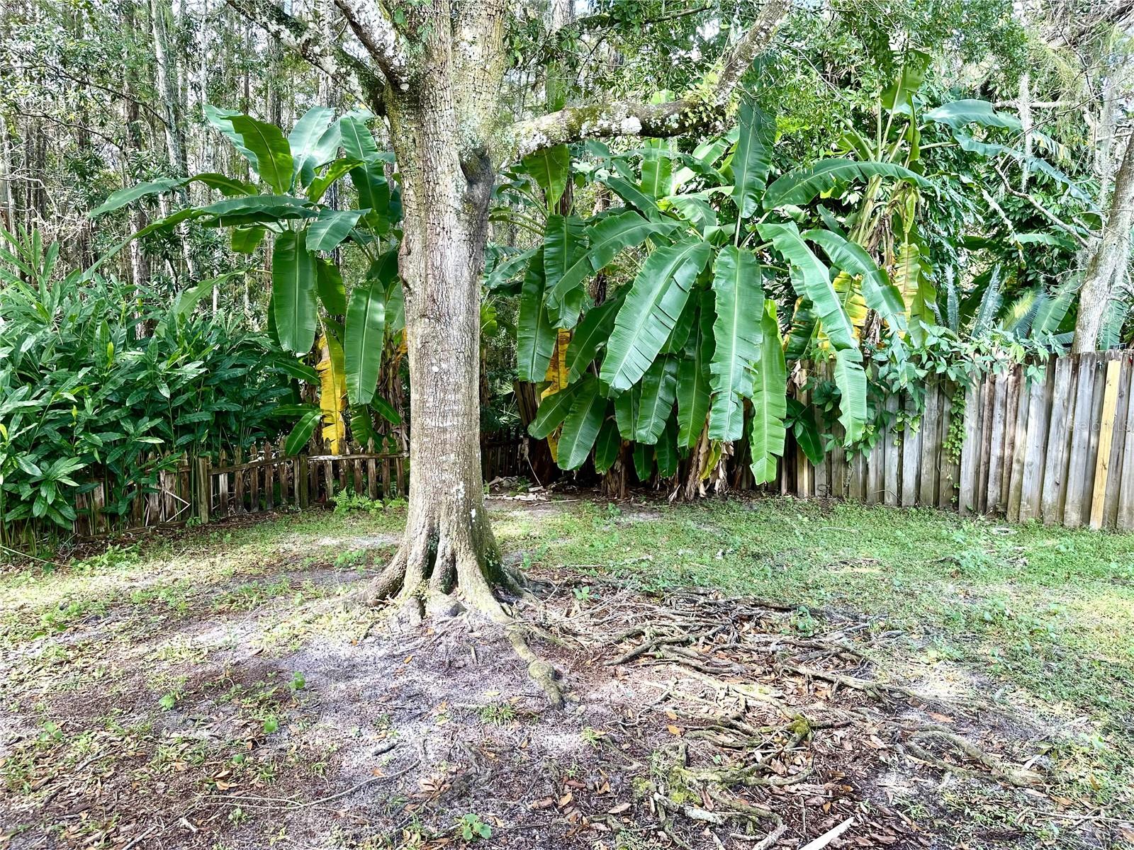 GINGER CREEK - Residential