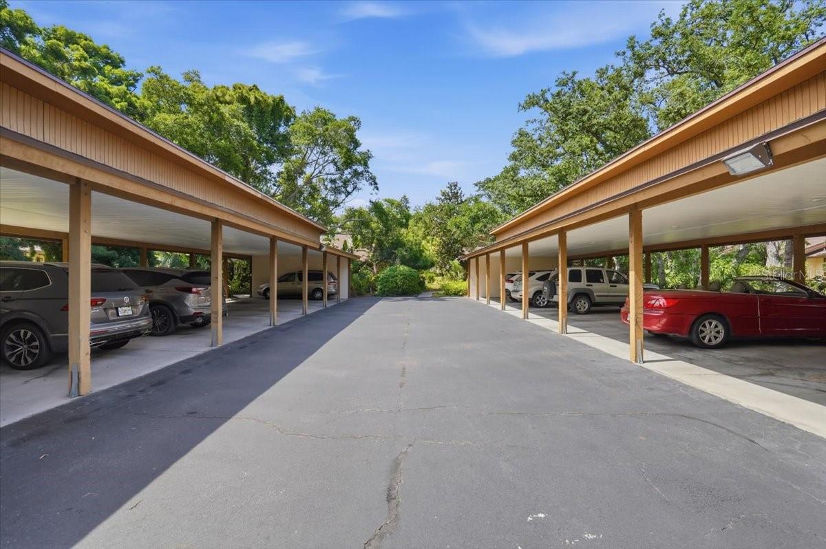 PINE BAY FOREST - Residential