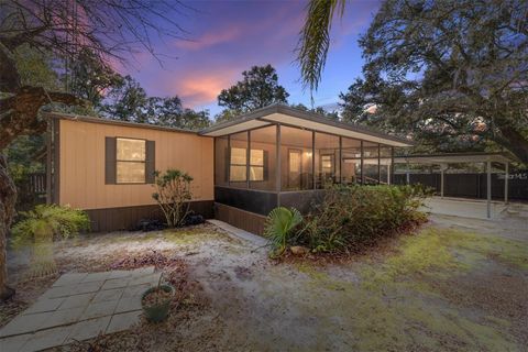 Photo of 13168 NE 19th Lane, Silver Springs, FL 34488 (MLS # OM715208)