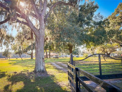 Tiny photo for 1199 Cr 542g, Bushnell, FL 33513 (MLS # O6367413)