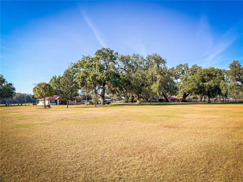 Tiny photo for 1199 Cr 542g, Bushnell, FL 33513 (MLS # O6367413)
