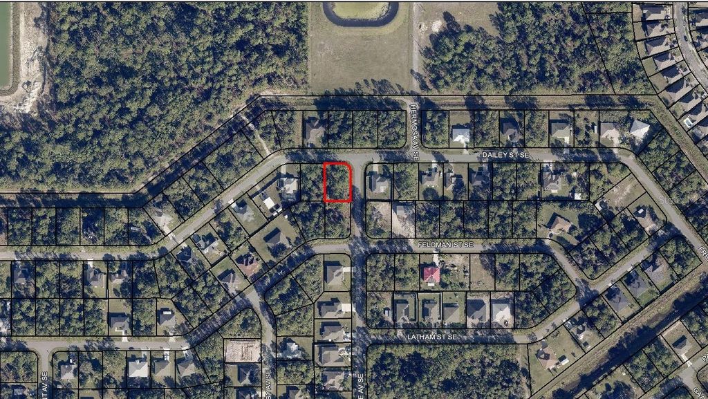 Photo of 29 Dailey Street SE, Palm Bay, FL 32909 (MLS # A4683198)