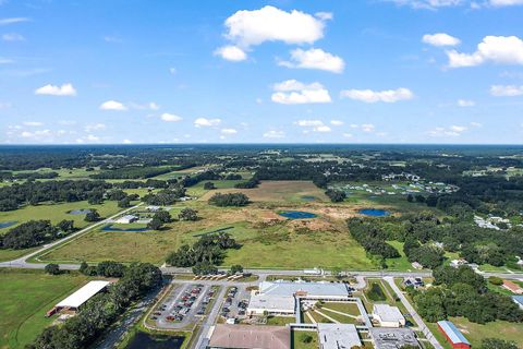 Tiny photo for 416 S Market Boulevard, Webster, FL 33597 (MLS # O6321160)
