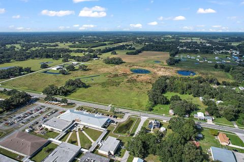 Tiny photo for 416 S Market Boulevard, Webster, FL 33597 (MLS # O6321160)