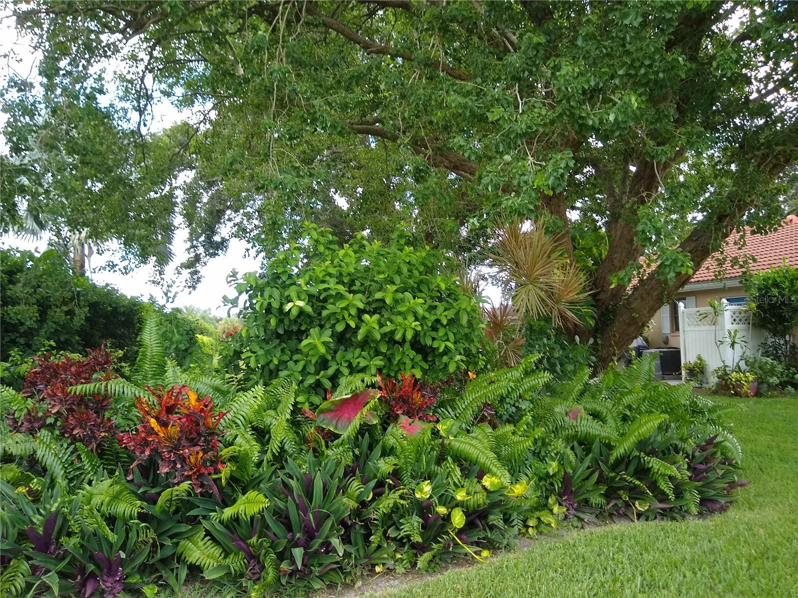VENICE GARDENS - Residential
