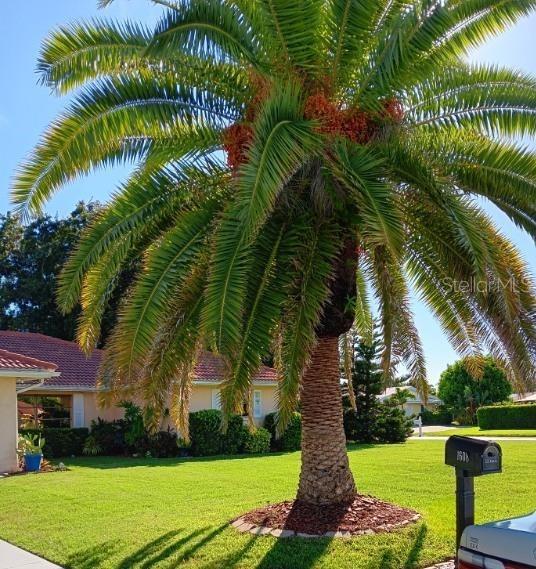 VENICE GARDENS - Residential