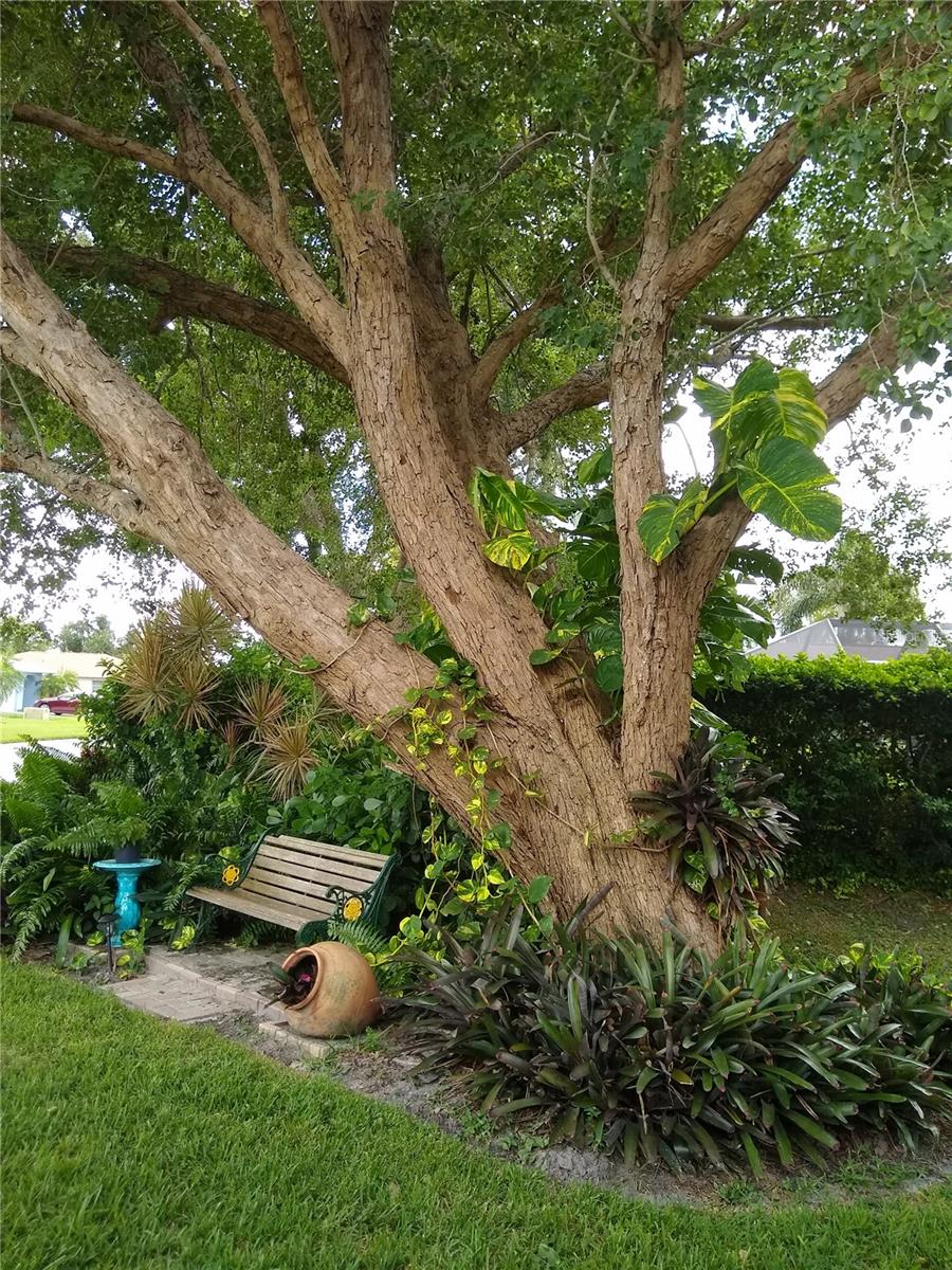 VENICE GARDENS - Residential
