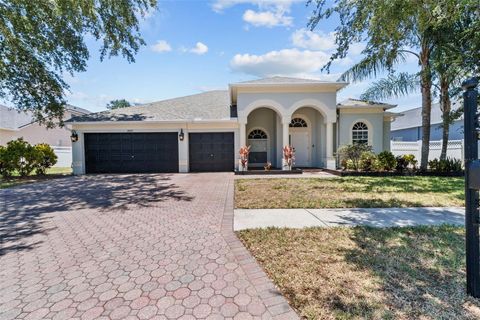 A home in LAND O LAKES