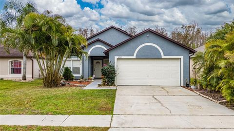 2507 TALEGA DRIVE ST CLOUD FL 34772