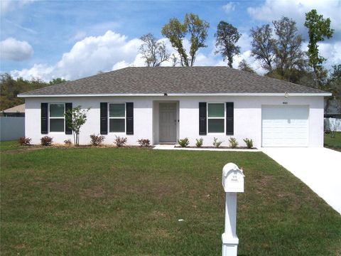 4061 SW 133RD LANE OCALA FL 34473