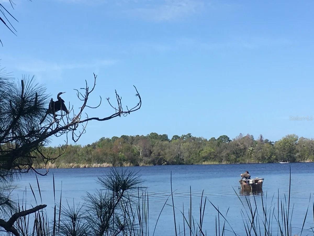 FRESH WATER ESTATES - Residential