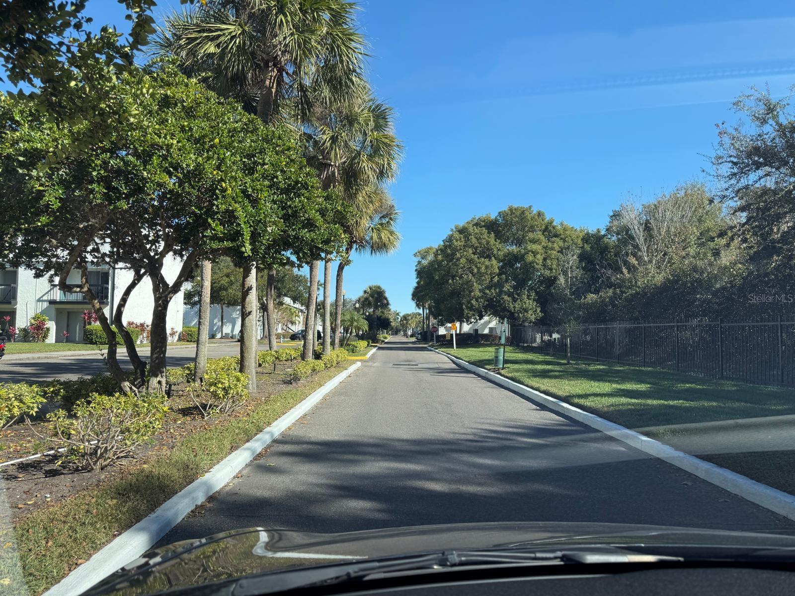 AVALON CONDO - Residential Lease