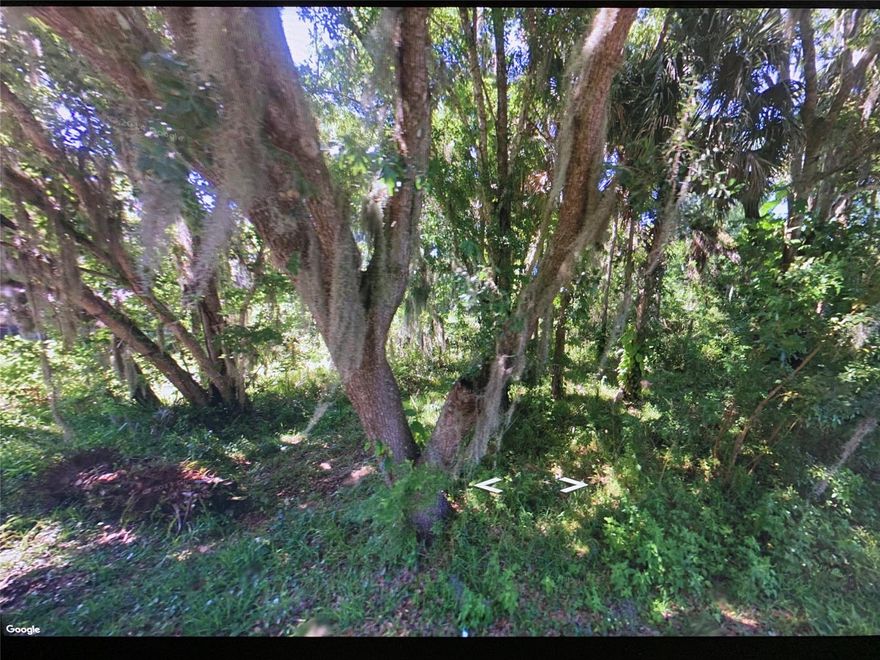 Enjoy waterfront amenities without the waterfront taxes. Deeded river rights on this property gives you access to the river for boat launching, kayaking, paddleboarding and fishing at $25.00 a year. This beautiful large buildable lot backs up to green space which is wooded and will give you that country secluded feeling. Close to I-95, I-4, Orlando International Airport and all attractions. Cul-de-sac community of very nice homes.; Cleared: No ;Water: Available at Site