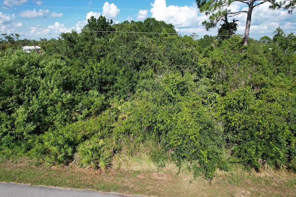 Photo of 219 Boren Avenue, Lake Placid, FL 33852 (MLS # S5133553)