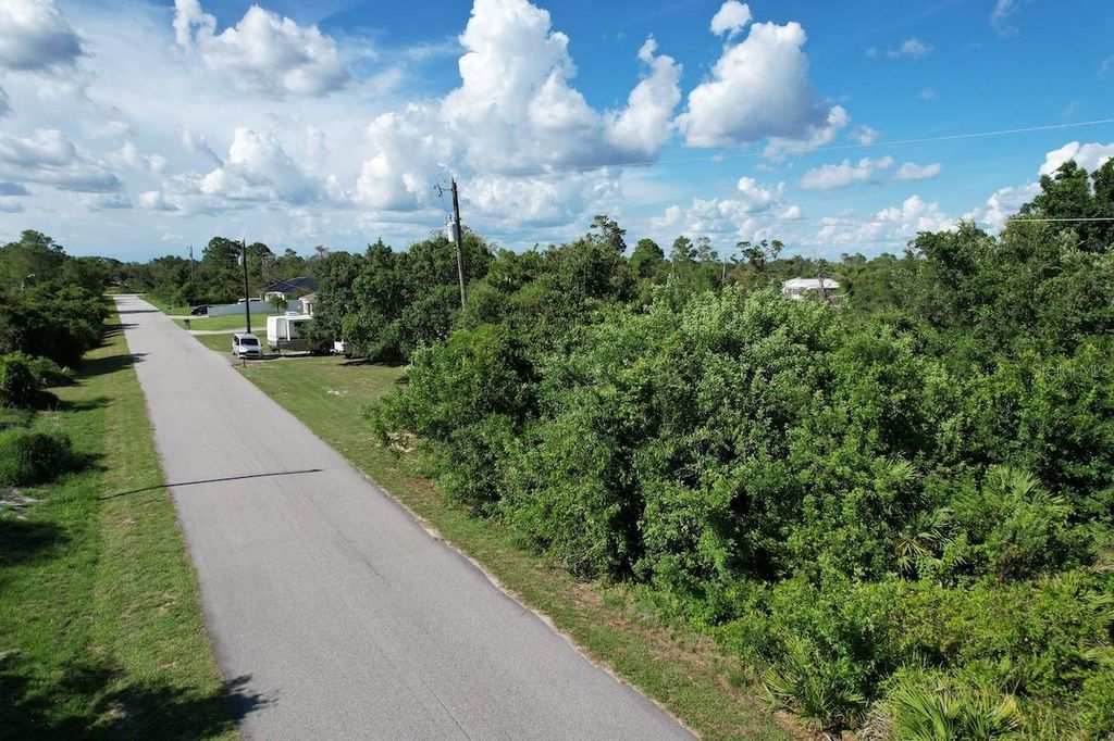 Photo of 219 Boren Avenue, Lake Placid, FL 33852 (MLS # S5133553)