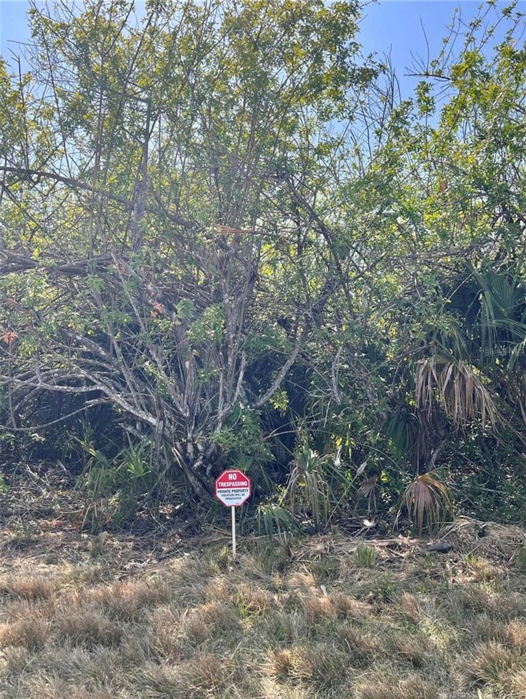 Photo of 371 Lawler Street, Port Charlotte, FL 33954 (MLS # V4942708)