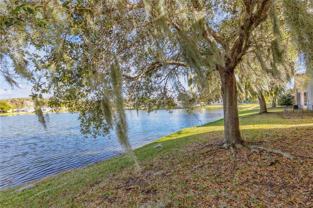 Photo of 649 Coral Trace Boulevard, Edgewater, FL 32132 (MLS # NS1087220)