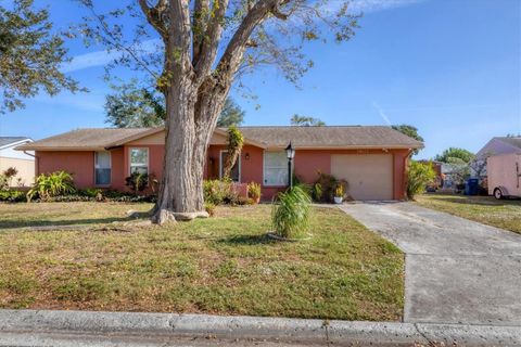 A home in BRADENTON