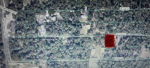 TBD NE 236TH STREET RD #10 FORT MC COY FL 32134