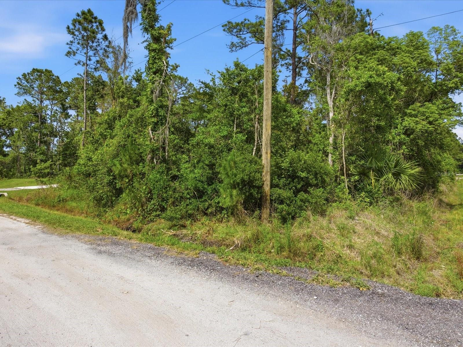 DAYTONA PARK ESTATES SEC D - Land