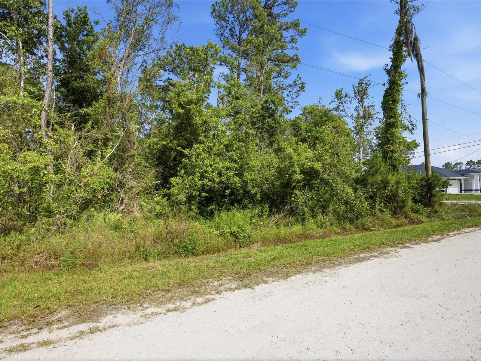 DAYTONA PARK ESTATES SEC D - Land