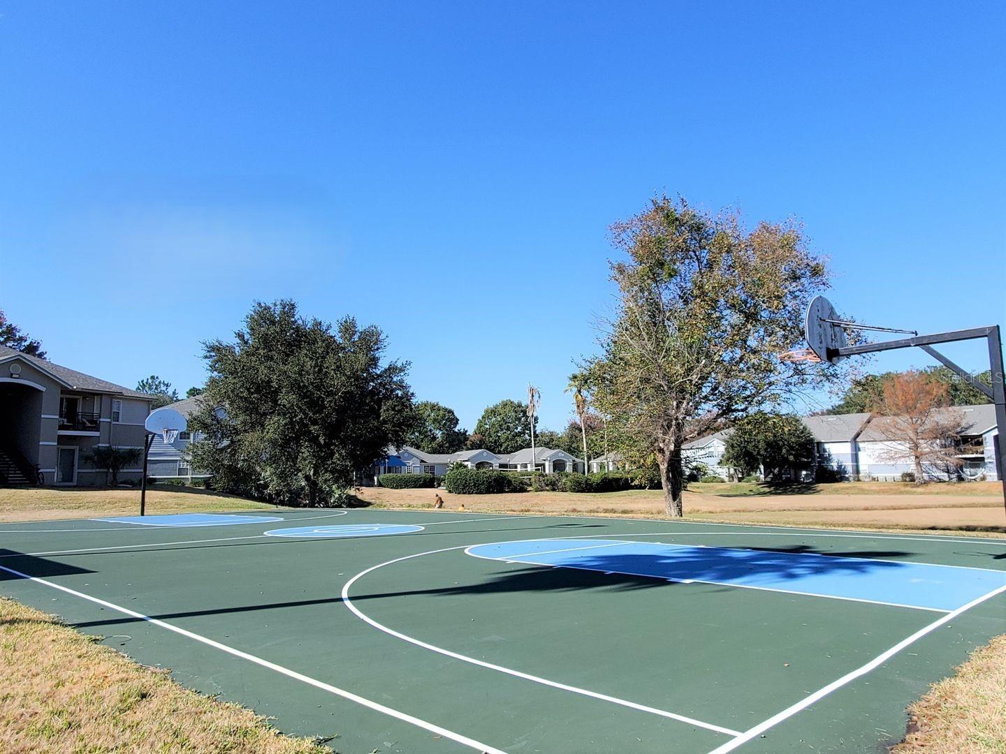 WINDSOR PARK AT GAINESVILLE, A CONDOMUNI - Residential