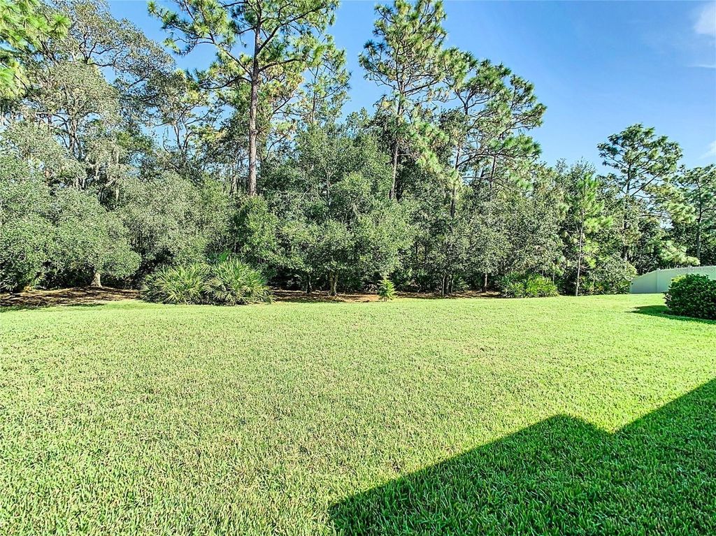 Photo of 16635 Myrtle Sand Drive, Wimauma, FL 33598 (MLS # TB8479627)