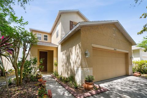 17539 BALMAHA DRIVE LAND O LAKES FL 34638