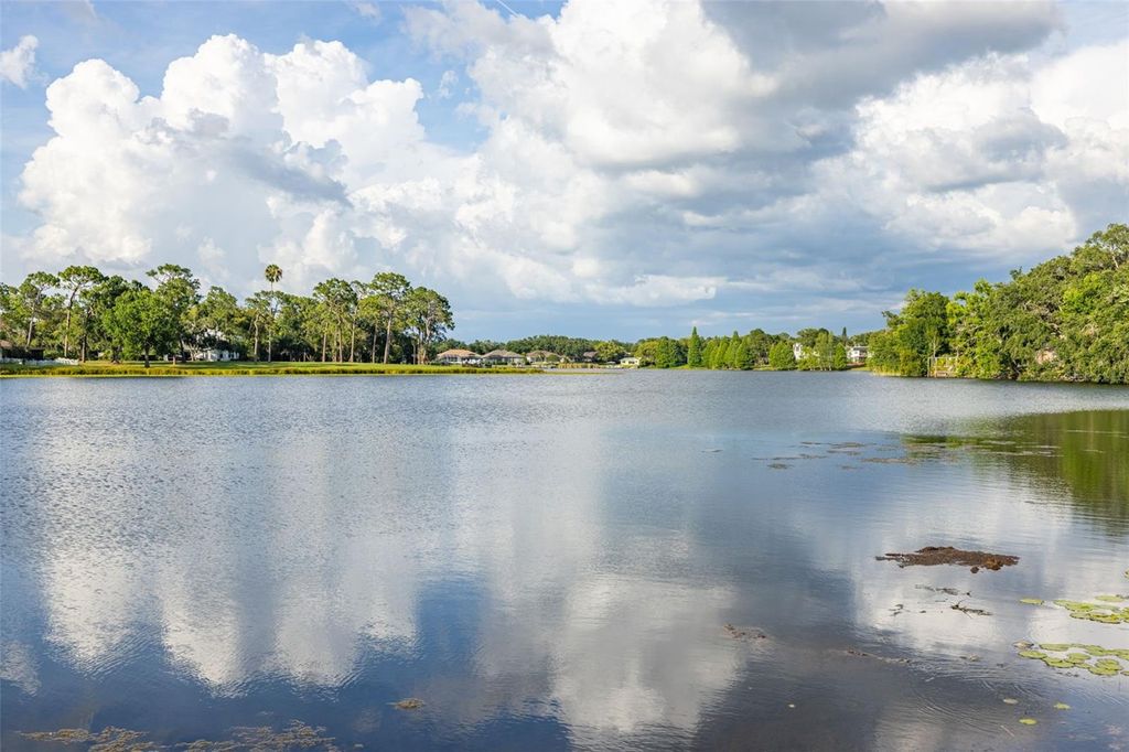 Photo of 2533 N Habana Place, Tampa, FL 33618 (MLS # TB8463263)