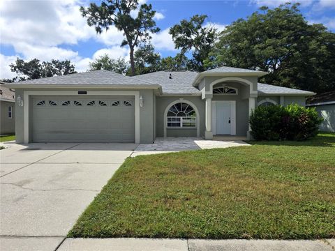 Photo of 3123 Shadow Oaks Drive, Holiday, FL 34690 (MLS # R4910019)